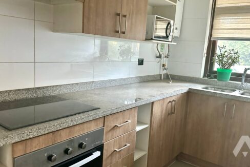 Departamento 3 dormitorios en arriendo en Villarrica 11