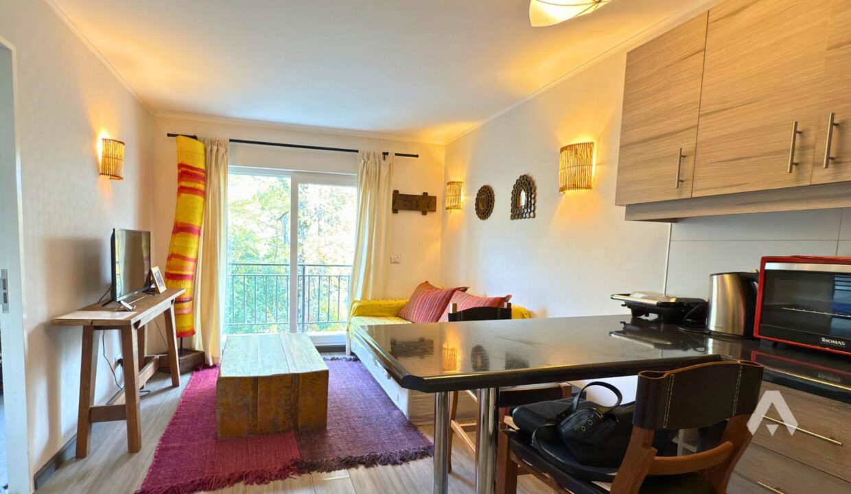 Departamento en venta en Pucón Andino 5