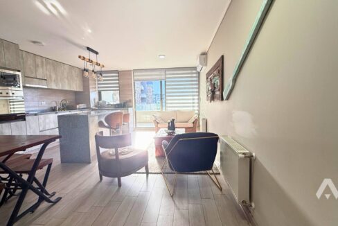 Moderno departamento en arriendo en Pucón 2