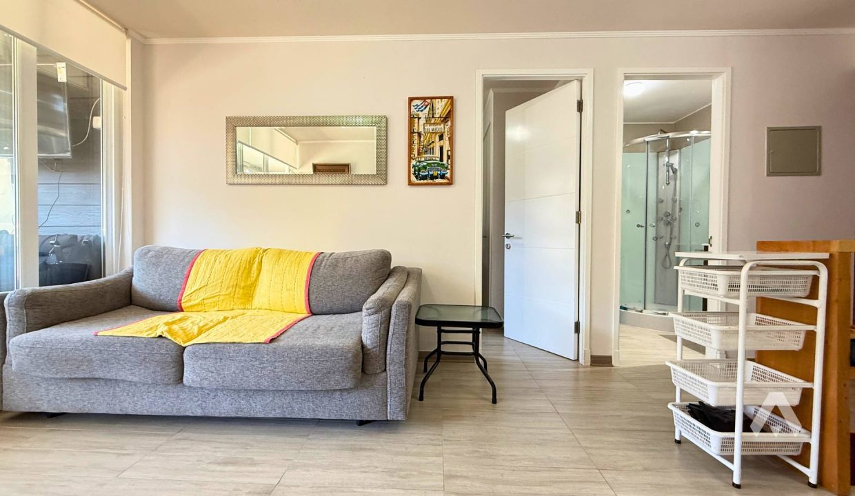Moderno departamento en venta en Pucón 9