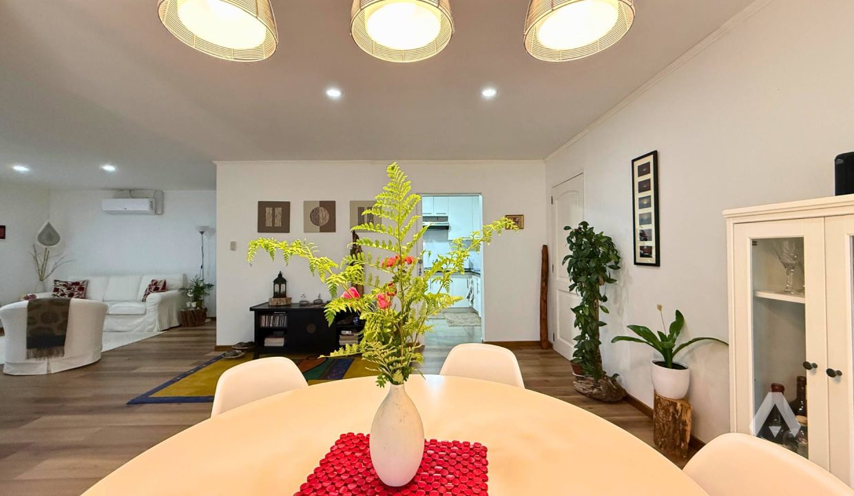 Parcela con dos casas y piscina en Pucón 5