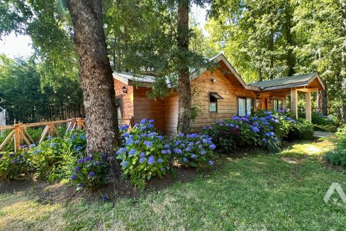 Casa a 20 minutos de Pucón en arriendo 2