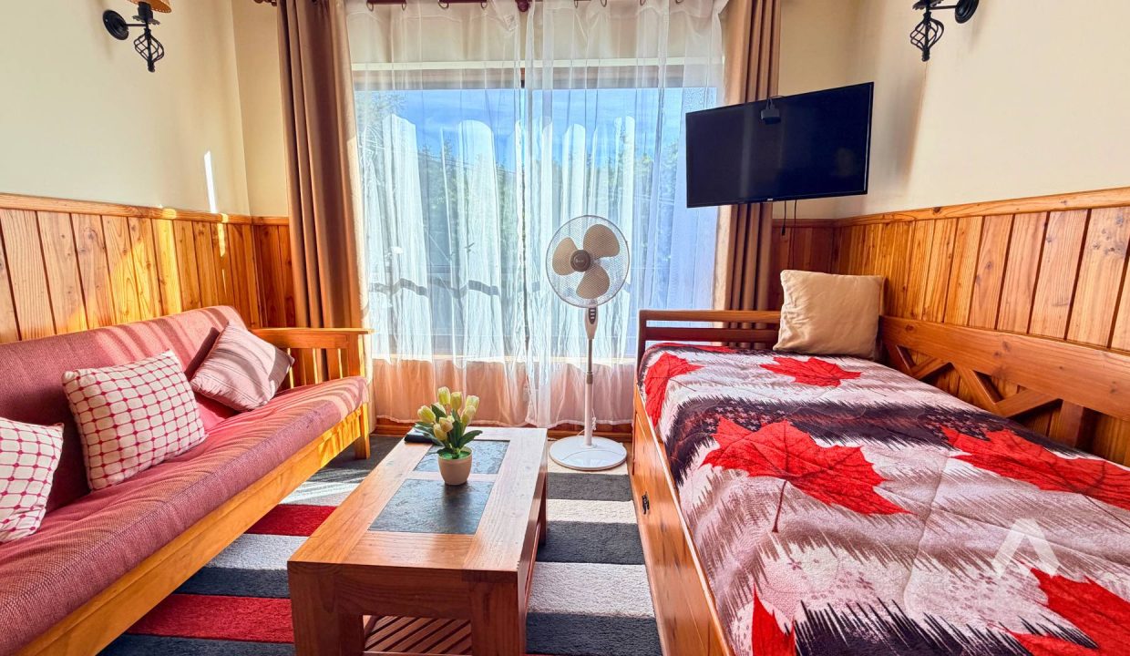 Arriendo Depto Amoblado Pucón 2