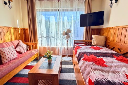 Arriendo Depto Amoblado Pucón 2