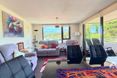 Arriendo Departamento central amoblado en Pucón 2