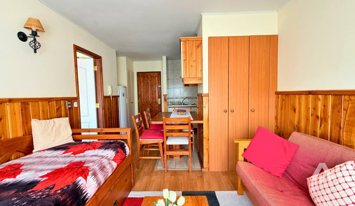 Arriendo Depto Amoblado Pucón 3