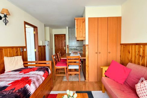 Arriendo Depto Amoblado Pucón 3