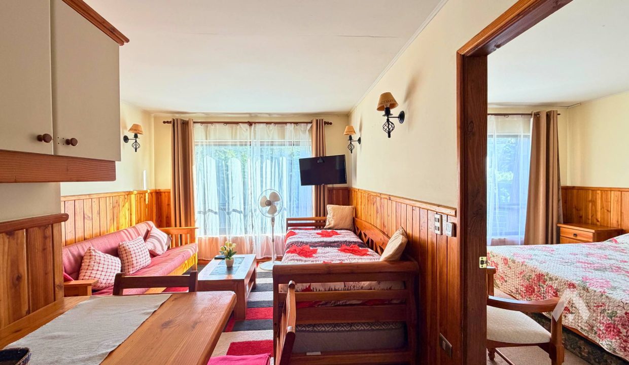 Arriendo Depto Amoblado Pucón 4