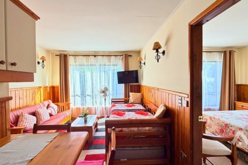 Arriendo Depto Amoblado Pucón 4