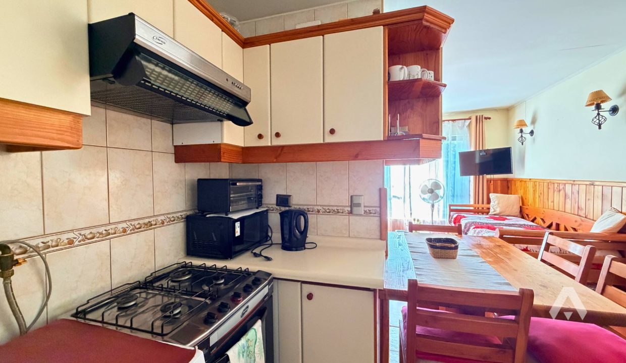 Arriendo Depto Amoblado Pucón 6
