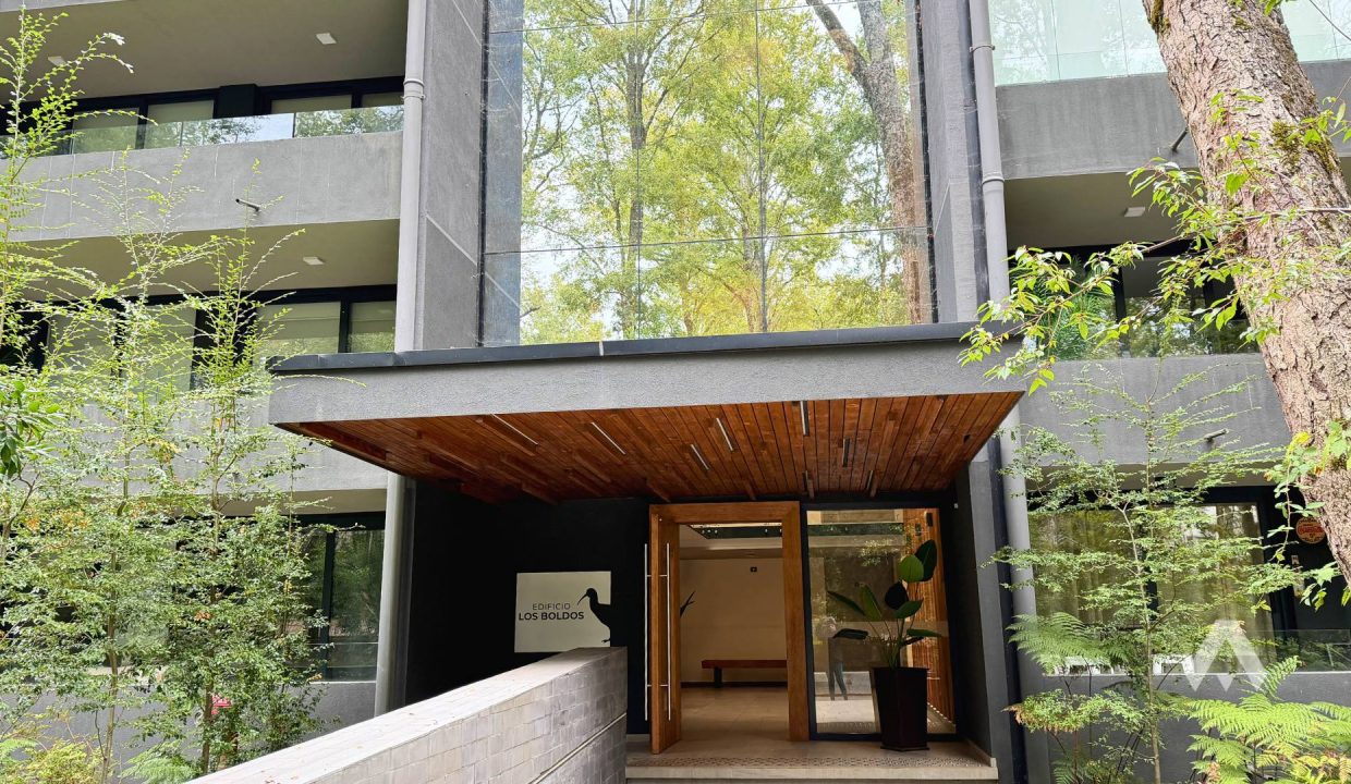 Departamento en venta Pucón Andino 1