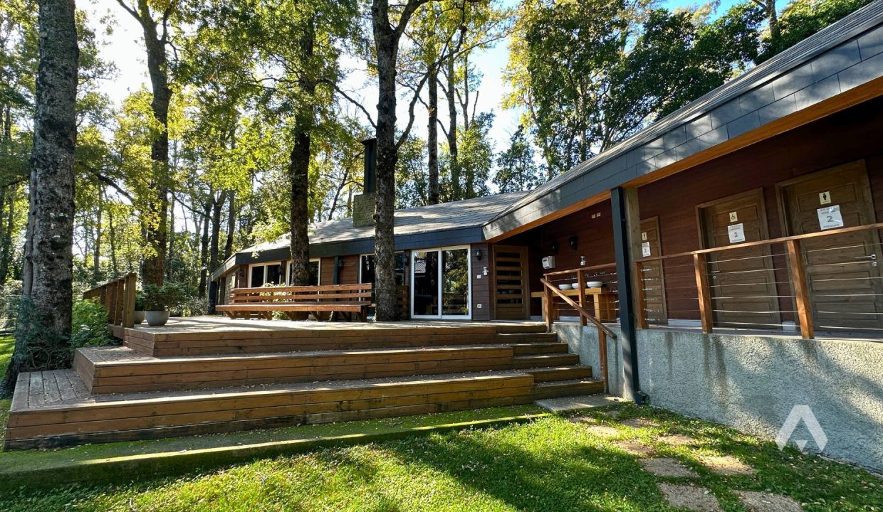 Departamento en arriendo en Pucón 14