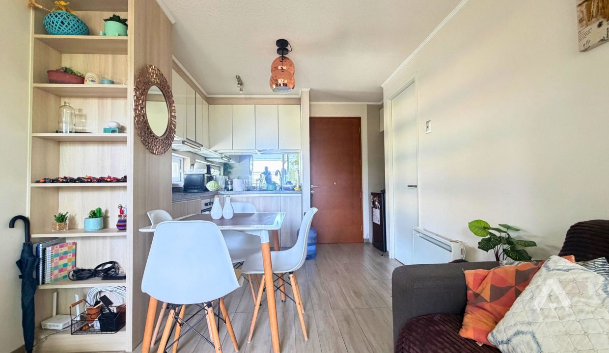 arriendo departamento amoblado Pucón 3