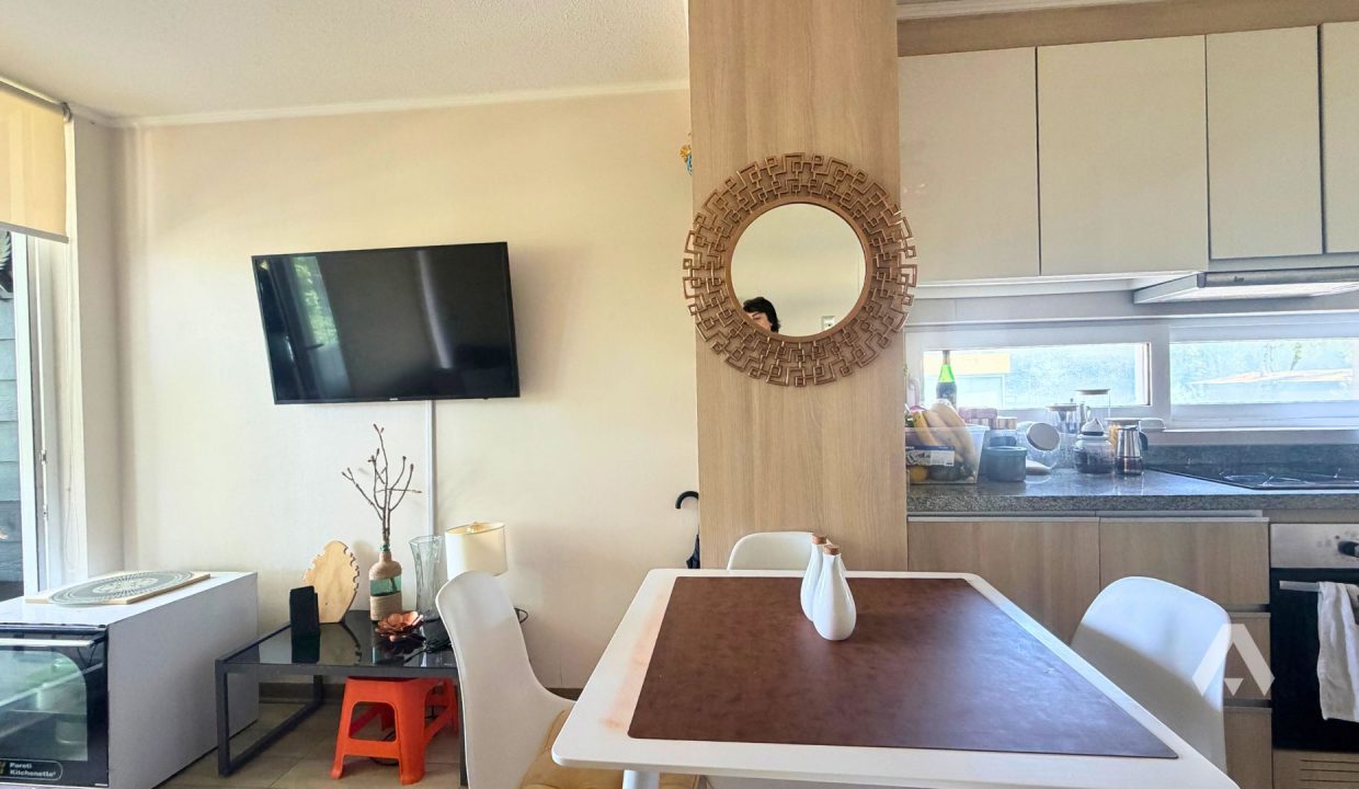 arriendo departamento amoblado Pucón 4